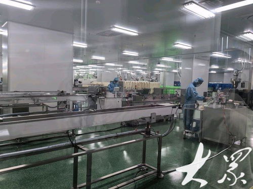 向 新 發(fā)力 從連年虧損到全國前三,這家淄博醫(yī)療器械企業(yè)12種產(chǎn)品填補國內(nèi)空白